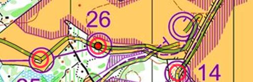 Jukola 2016